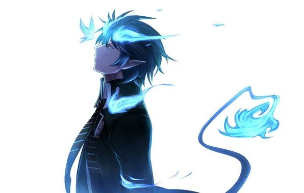 Аниме, арт, парень, Ao no Exorcist, Рин, Синий Экзорцист