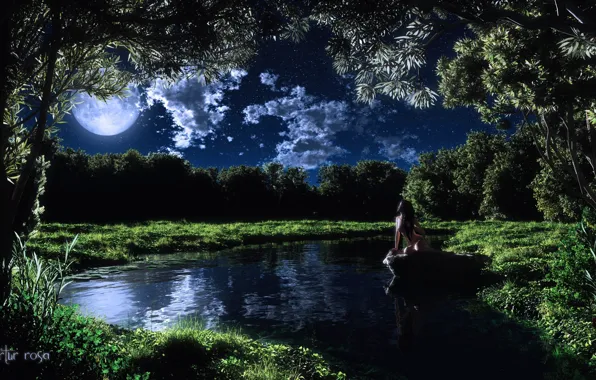 Картинка трава, девушка, облака, деревья, ночь, озеро, луна, камень