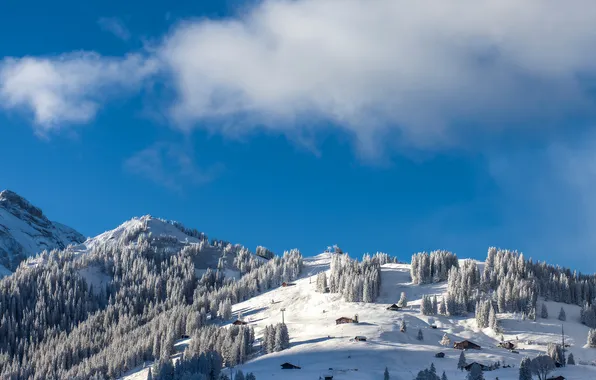 Картинка зима, небо, облака, снег, деревья, горы, ель, Швейцария