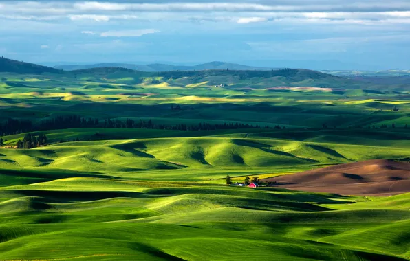 Картинка небо, трава, деревья, горы, дом, холмы, поля, Италия