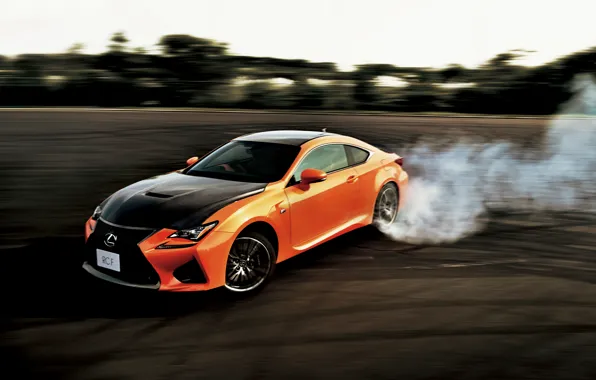 Lexus, -spec