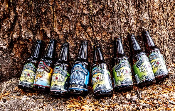 Природа, бутылка, пиво