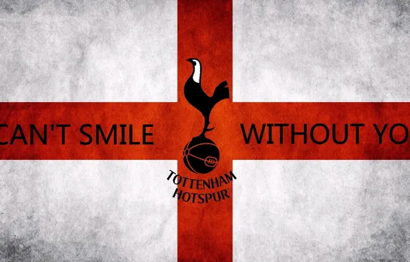 Football, Tottenham, Spurs