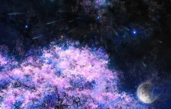 Космос, звезды, ночь, дерево, луна, сакура, арт, tsujiki