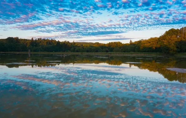Картинка осень, небо, облака, деревья, озеро, отражение