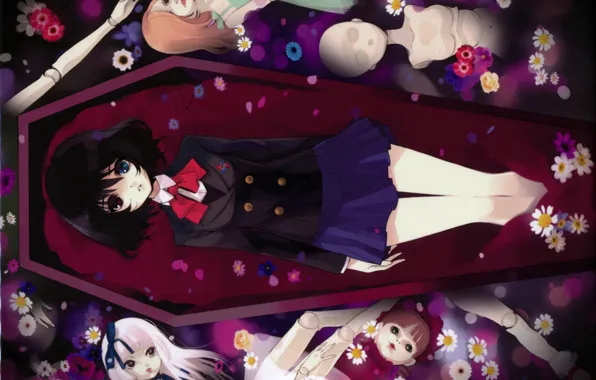 Цветы, куклы, форма, гроб, бант, иная, misaki mei, another