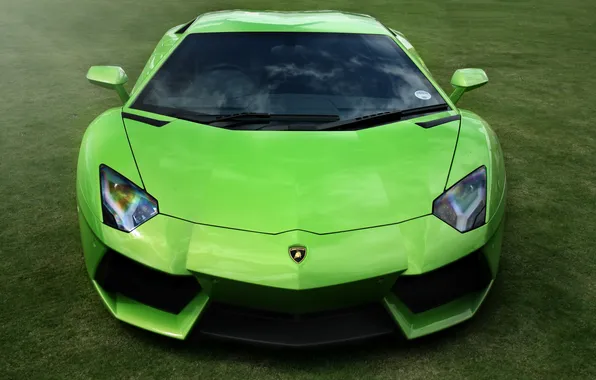 Картинка green, Lamborghini, supercar, walls, LP700-4, Aventador