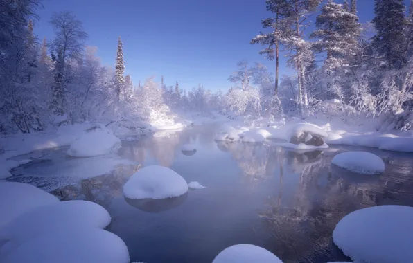 Картинка зима, вода, снег, деревья, пейзаж, природа, Кольский полуостров