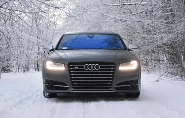 Картинка Audi, Light, Winter, VAG, Sight, Full LED Matrix Lights, D4R