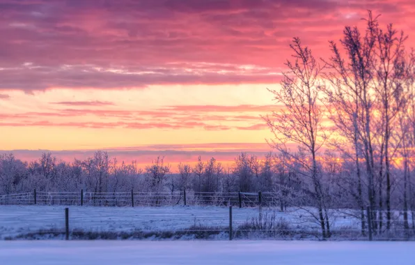Картинка зима, облака, снег, деревья, закат, забор, сельская местность, фермы