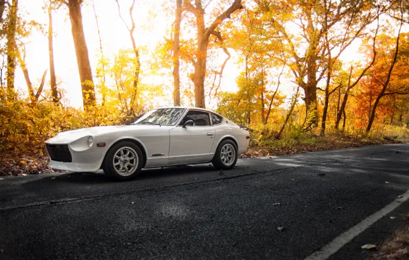 Картинка white, road, Datsun, 280z