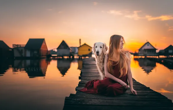 Девушка, закат, мост, собака