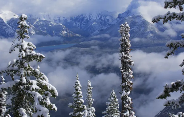 Зима, облака, снег, деревья, горы, озеро, Канада, Альберта