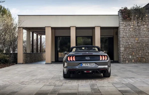 Здание, Ford, кабриолет, вид сзади, 2018, тёмно-серый, Mustang GT 5.0 Convertible