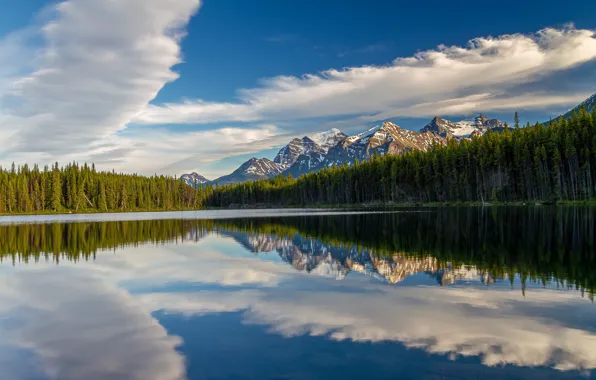 Лес, облака, горы, озеро, отражение, Канада, Альберта, Banff National Park