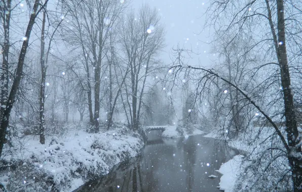 Картинка зима, снег, деревья, туман, пруд, мороз, Nature, мостик