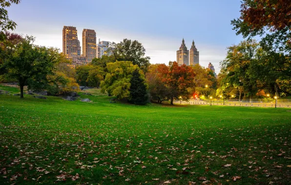 Картинка осень, листья, деревья, Нью-Йорк, фонари, США, небоскрёбы, лужайка