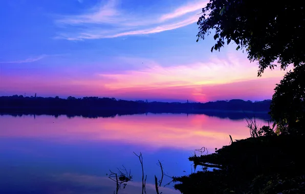 Sun, Water, Sunrise, Dawn, Morning, Lake, Trees, Reflection