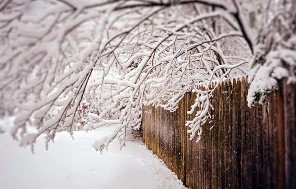 Картинка зима, снег, забор