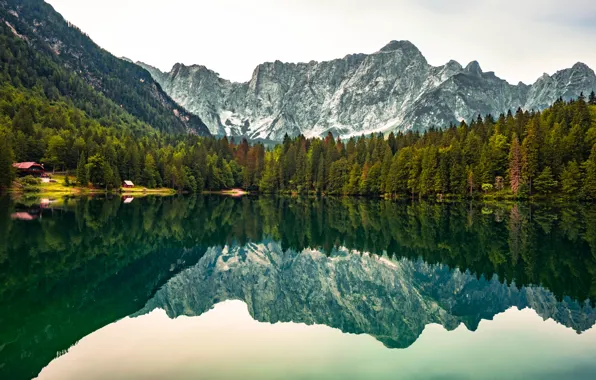 Лес, горы, озеро, отражение, Италия, Italy, Юлийские Альпы, Tarvisio