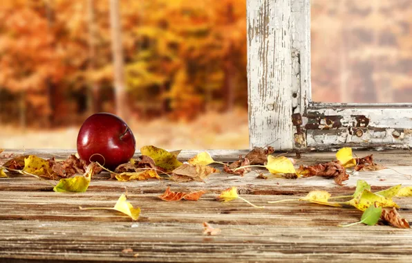 Осень, лес, листья, рама, яблоко