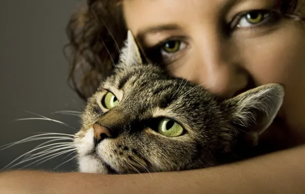 Woman, cat, heads