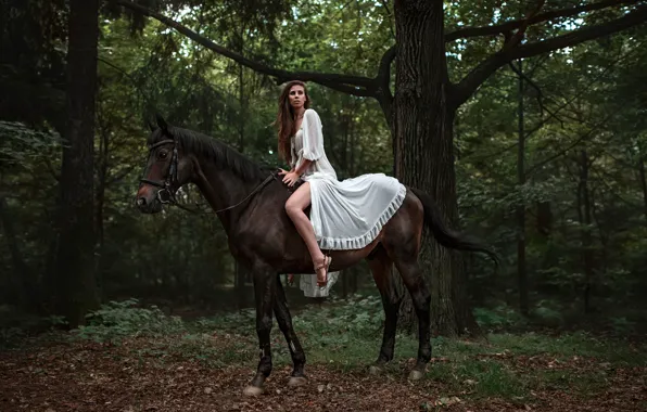 Картинка девушка, конь, ножка, Георгий Чернядьев, Forest Adventure, Elena Bellfegora
