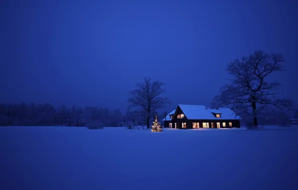Зима, поле, лес, снег, деревья, ночь, дом, простор