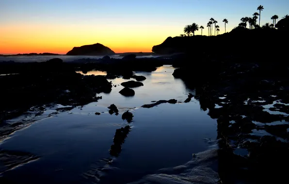 Пляж, пальмы, рассвет, Laguna Beach, southern California