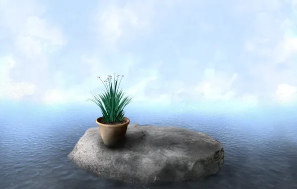 Вода, облака, растение, Камень, горшок