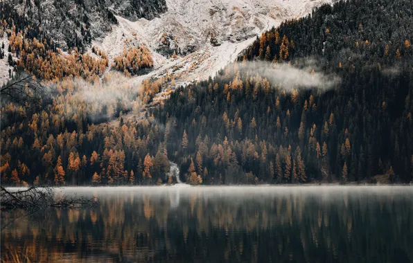 Картинка forest, trees, landscape, nature, water, lake, reflection