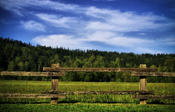 Зелень, поле, трава, природа, green, grass, Nature, field