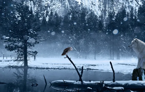 Картинка зима, снег, озеро, сова, волк, арт