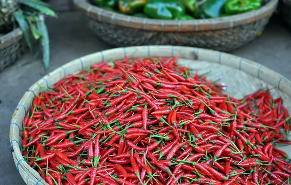 Red, chili, pepper, cambodia