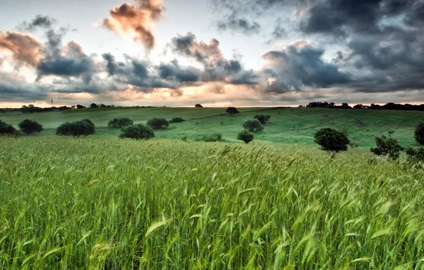 Поле, облака, вечер, Италия, field, Italy, clouds, evening