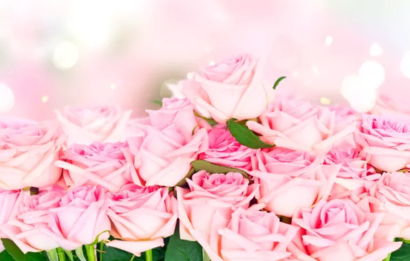 Розы, букет, pink, flowers, roses, розовые розы