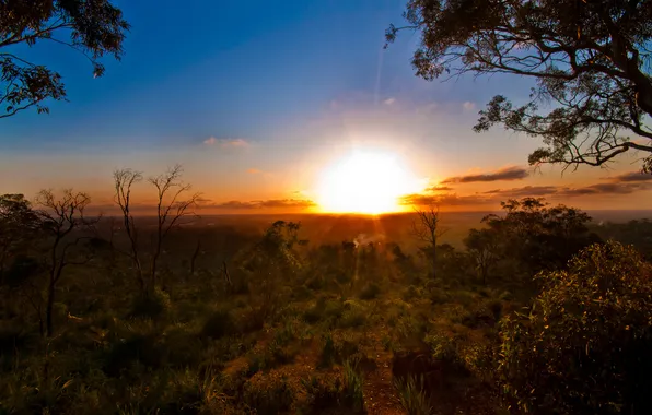 Картинка солнце, австралия, australia