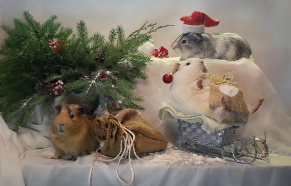 Картинка зима, животные, елка, новый год, рождество, санки, декабрь, композиция
