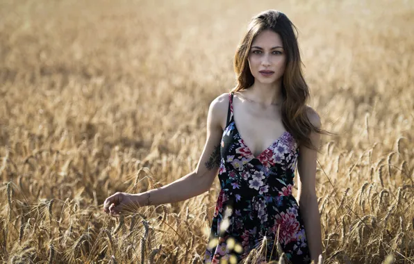 Картинка лицо, модель, платье, красавица, Erika