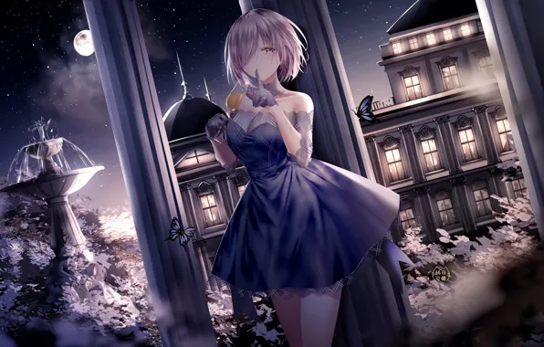 Девушка, ночь, дом, луна, Fate / Grand Order, Mashu Kyrielight
