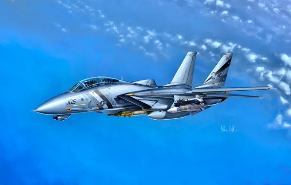 Картинка USA, F-14, US Navy, Grumman F-14D Super Tomcat, VF-2