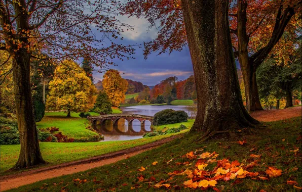 Картинка осень, лес, небо, листья, вода, деревья, природа, парк
