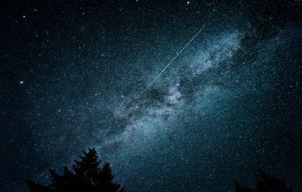 Картинка небо, звезды, ночь, дерево