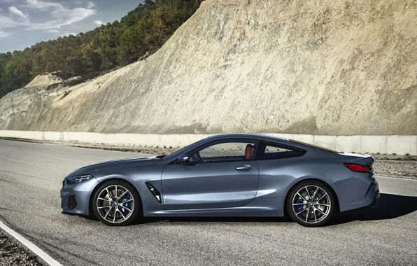 Купе, BMW, профиль, Coupe, 2018, серо-синий, 8-Series, бледно-синий