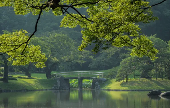 Tokyo, Japan, мостик, городской парк