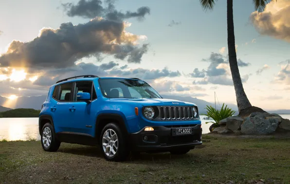 Пляж, пальма, Jeep, Renegade, Longitude