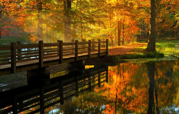 Осень, лес, листья, вода, деревья, мост, природа, парк