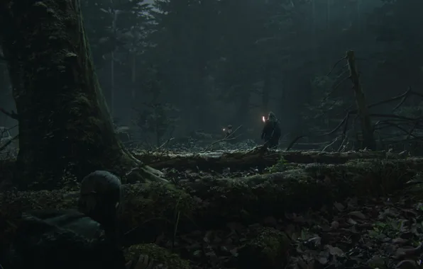 Лес, Элли, forest, Naughty Dog, Ellie, game art, The last of us 2, Одни из …