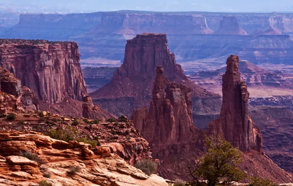 Камни, скалы, каньон, панорама, США, Mesa Arch, Canyonlands