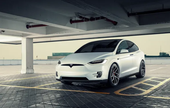 Tesla, Model X, Novitec, 2017